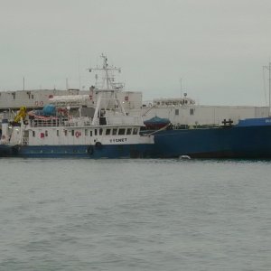 CYGNET