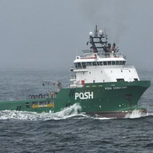 POSH CONSTANT