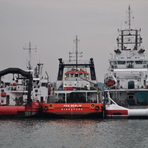 FEG MERLIN - IMO 9475909 & PACIFIC GAS - IMO 9505235