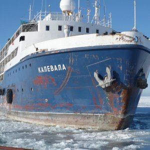 КАЛЕВАЛА