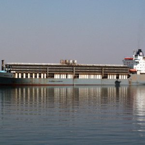BADER III