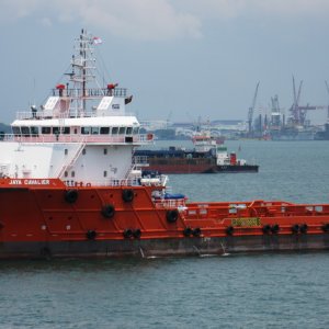 JAYA CAVALIER