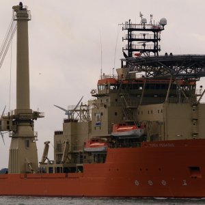 TOISA PEGASUS