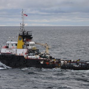 BRITOIL 49