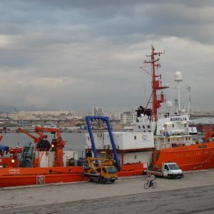 AURELIA
