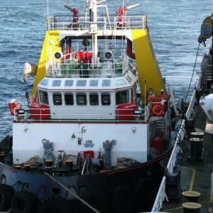BRITOIL 49