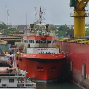HALUL 61