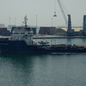STANFORD HUDHUD