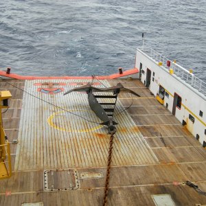 DEEP SEA 1