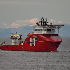 SKANDI HERCULES