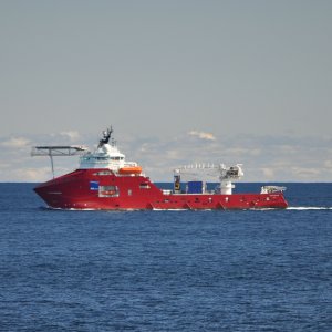 SKANDI HERCULES