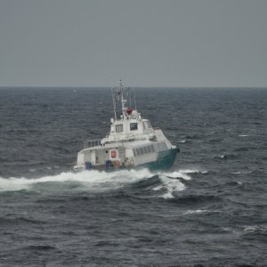 SURFER 2560