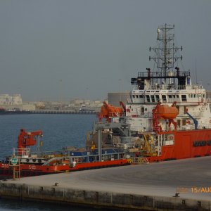 HALUL 41