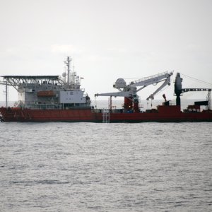 Gulmar Condor