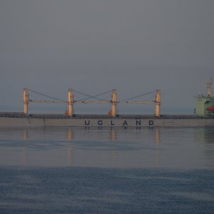 TAMARITA