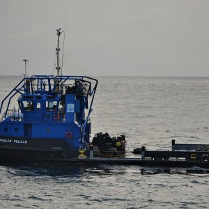 LAMNALCO PELICAN