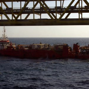 Falcon Tide