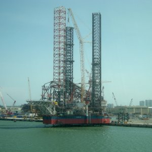 TAM DAO 03