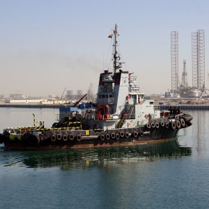 Al Wahsh