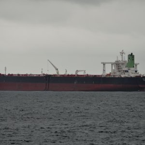 GULF SHEBA