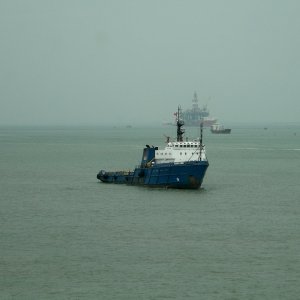 THANH LONG