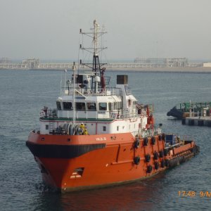 HALUL 30