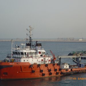 HALUL 30