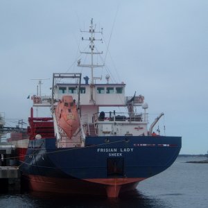 FRISIAN LADY