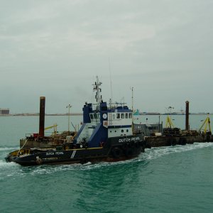 DUTCH PEARL