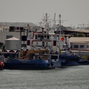 ZAKHER PELICAN