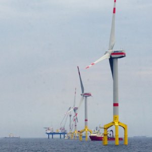 BARD O1 Windfarm