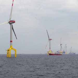 BARD O1 Windfarm