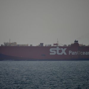 STX ORIOLE
