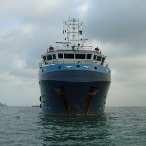 CINDY TIDE
