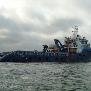 CINDY TIDE