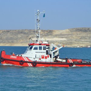 KAYNARBORG