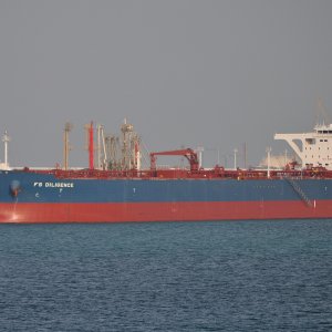 FS DILIGENCE