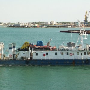 Cygnet