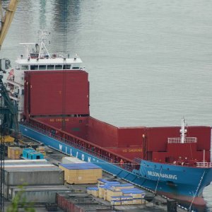 WILSON NANJING