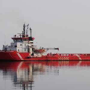 ARCTICABORG