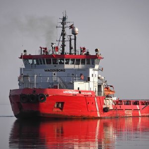 ARCTICABORG