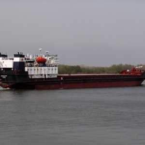 AMUR 2504