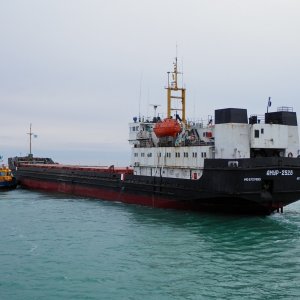 Amur 2528-Амур 2528