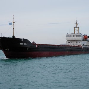 Amur 2528-Амур 2528