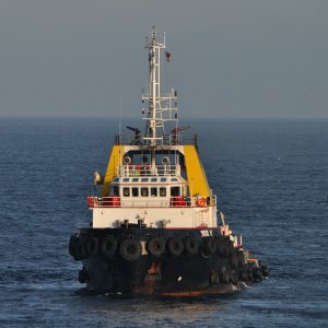 BRITOIL 49