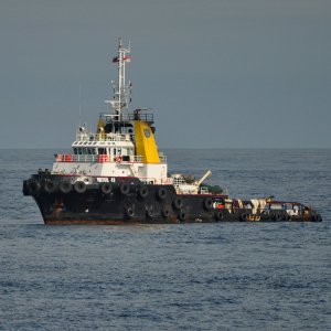 BRITOIL 49