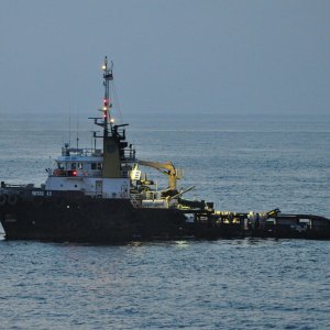 BRITOIL 49