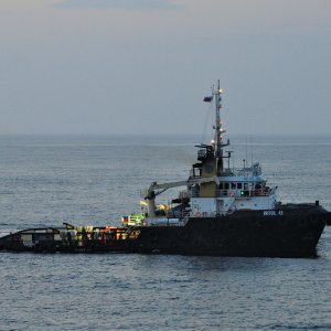 BRITOIL 49