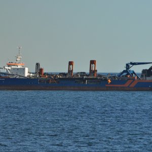 VOLVOX TERRANOVA