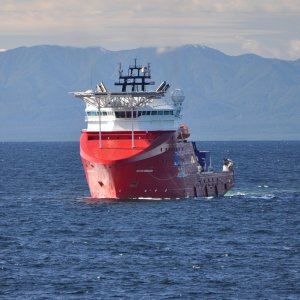 SKANDI HERCULES